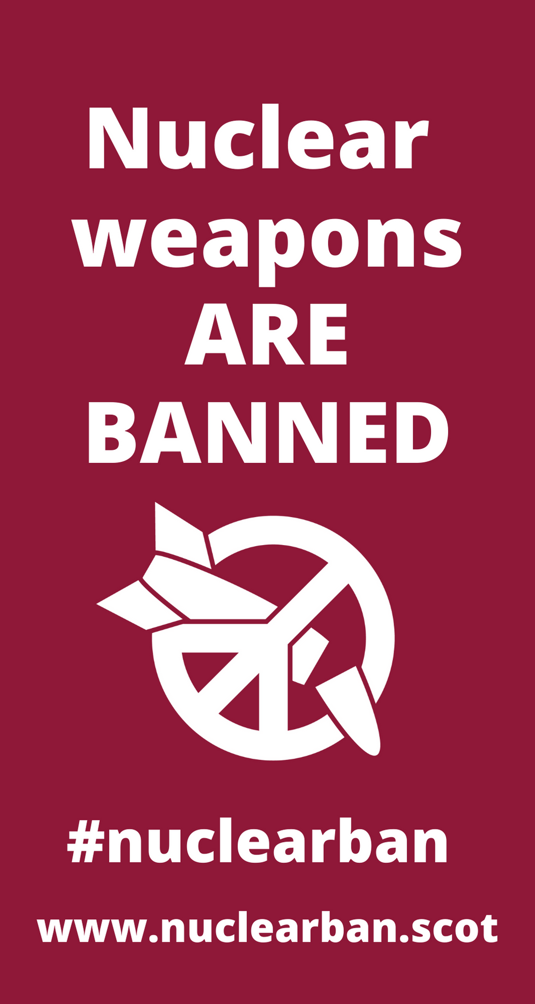 Preorder - Nuclear Weapons are Banned Flag